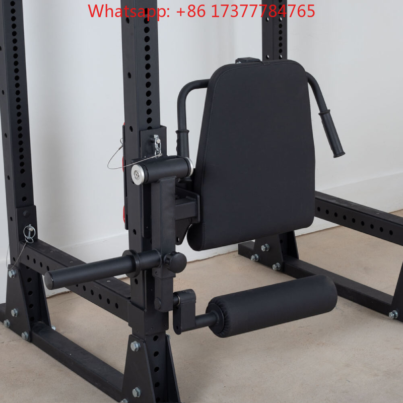 Home Gym Leg Training Machine  - Home Gym Hamstring Exercises review and price