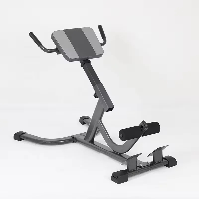 2026 Steel Roman Chair Adjusta - Home Gym Hamstring Exercises review and price