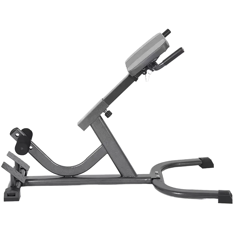 2026 Steel Roman Chair Adjusta - Home Gym Hamstring Exercises review and price