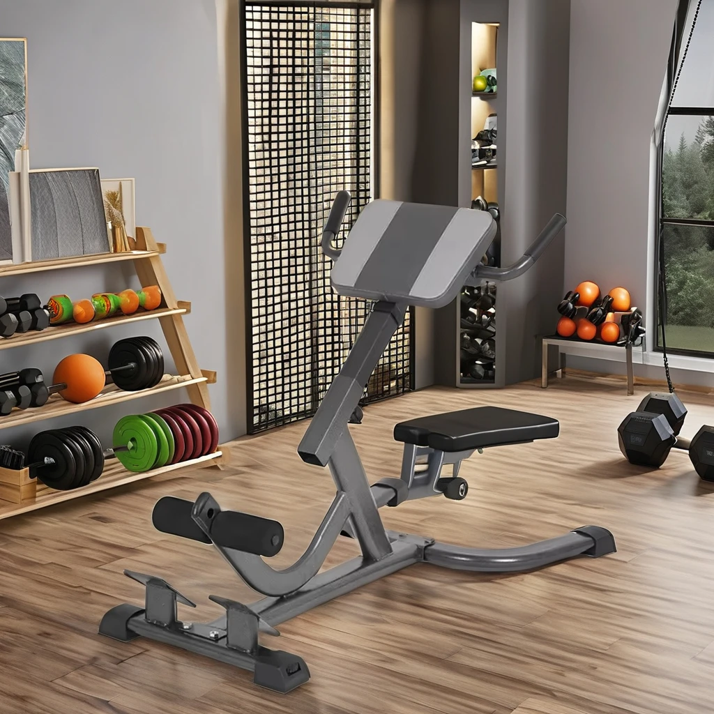 2026 Steel Roman Chair Adjusta - Home Gym Hamstring Exercises review and price