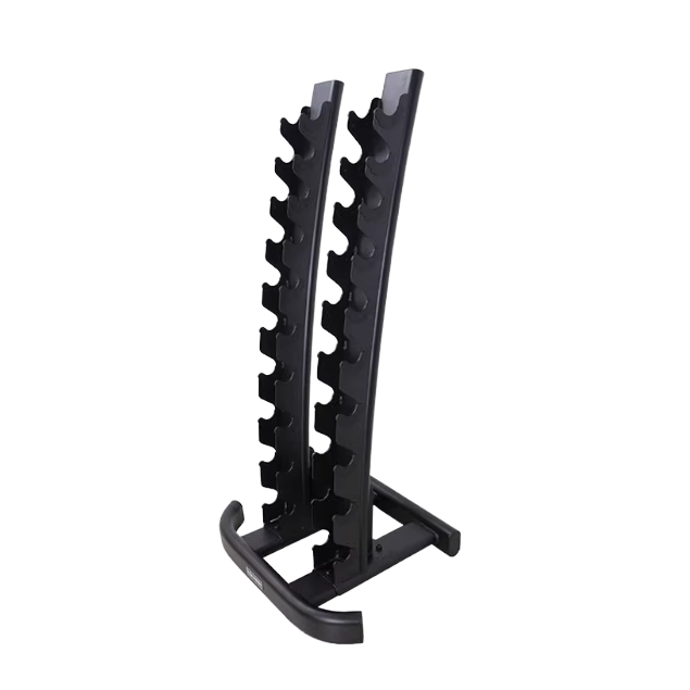 2026 Gym Dumbbell Rack Bench T - Home Gym Organization review and price