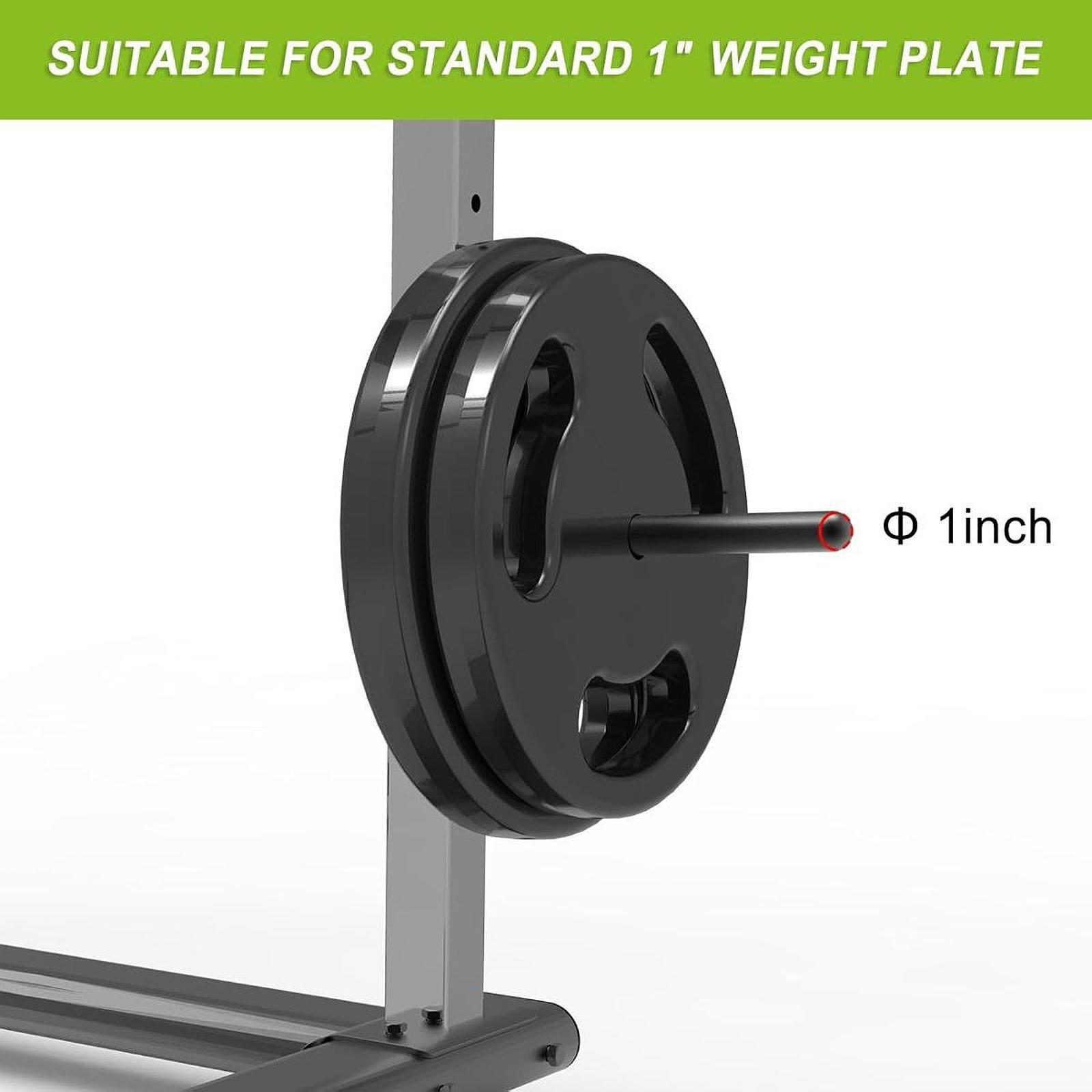 Space Saving Barbell Plate Han - Home Gym Organization review and price