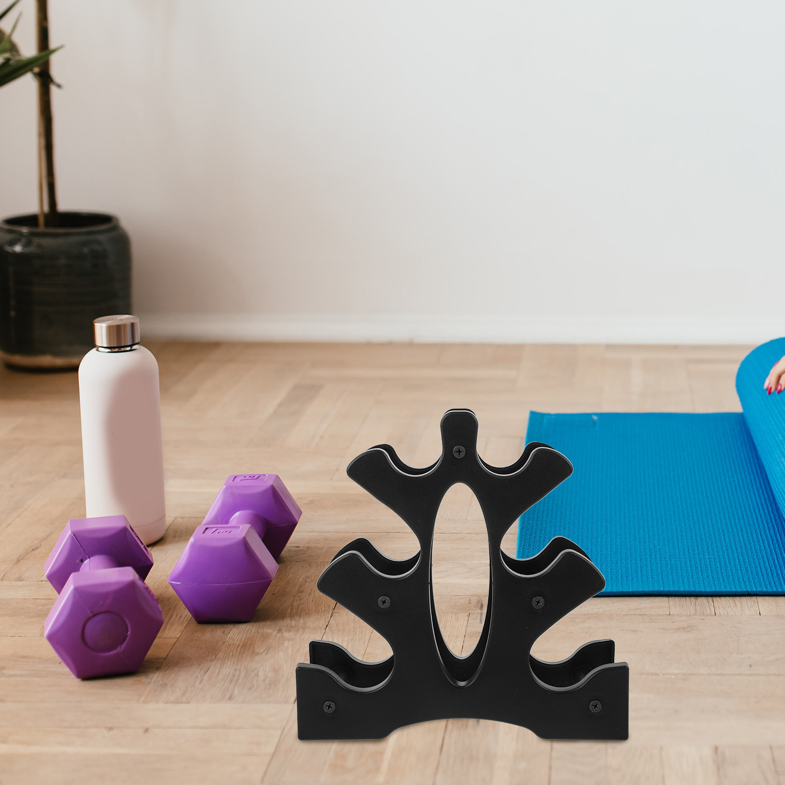 2Pcs PP Dumbbell Rack for Home - Home Gym Floor review and price
