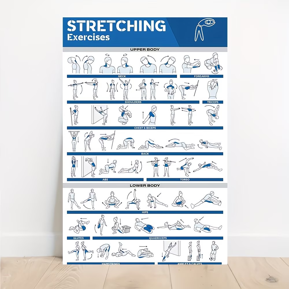 Modern Labeled Full-Body Stret - Home Gym Full Body review and price