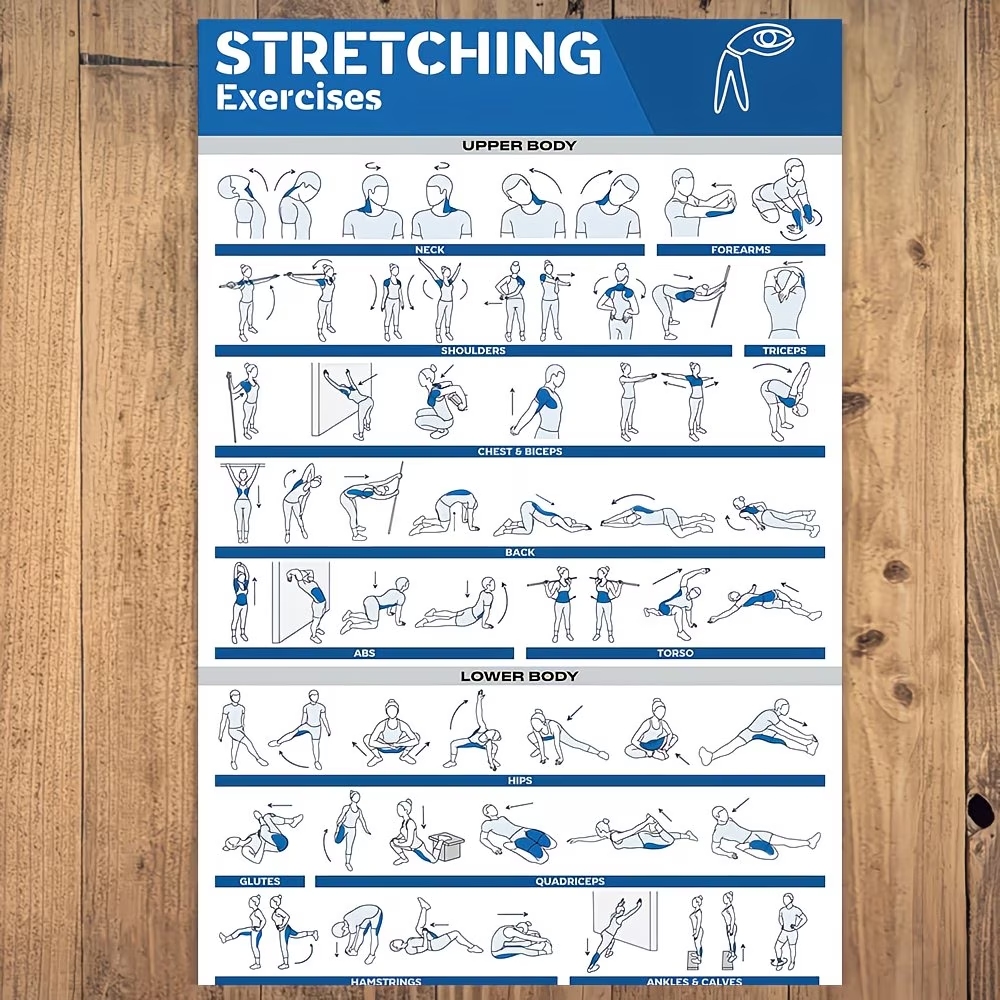 Modern Labeled Full-Body Stret - Home Gym Full Body review and price