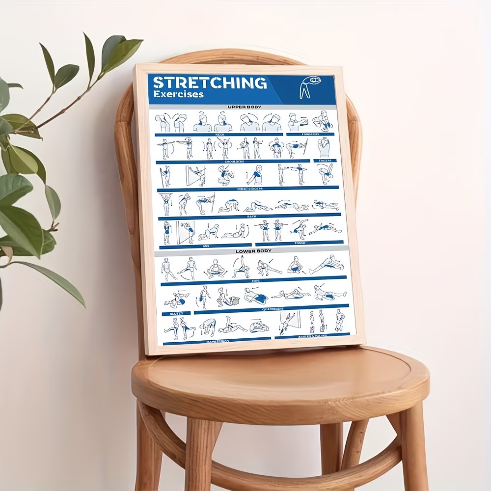 Modern Labeled Full-Body Stret - Home Gym Full Body review and price
