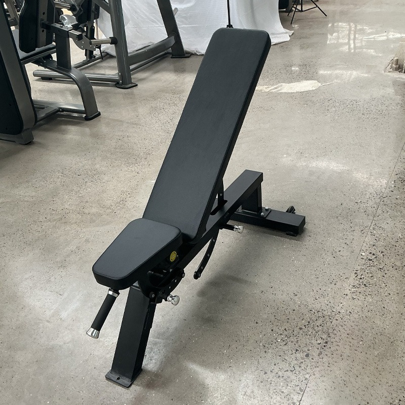 Adjustable Home Gym Dumbbell B - Home Gym Full Body review and price