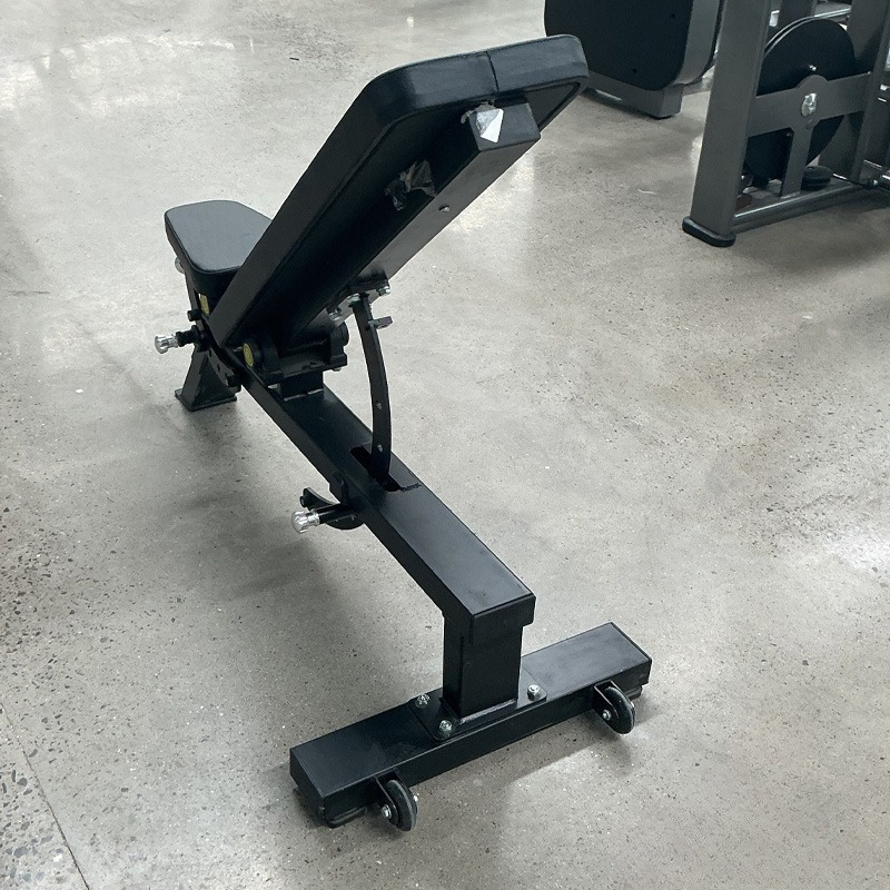 Adjustable Home Gym Dumbbell B - Home Gym Full Body review and price